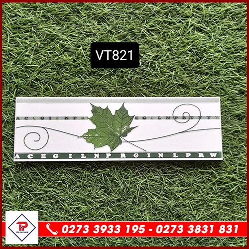 Gạch Viền 8x25